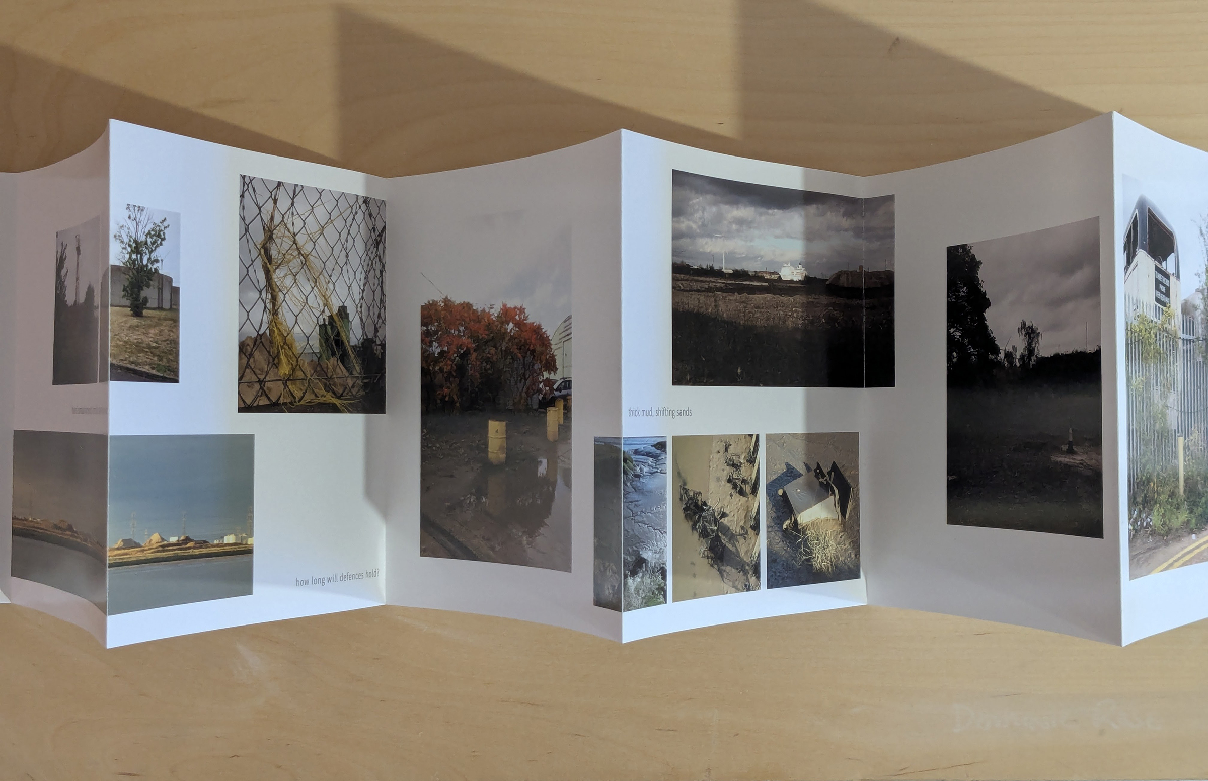 PXL_20260125_160309777